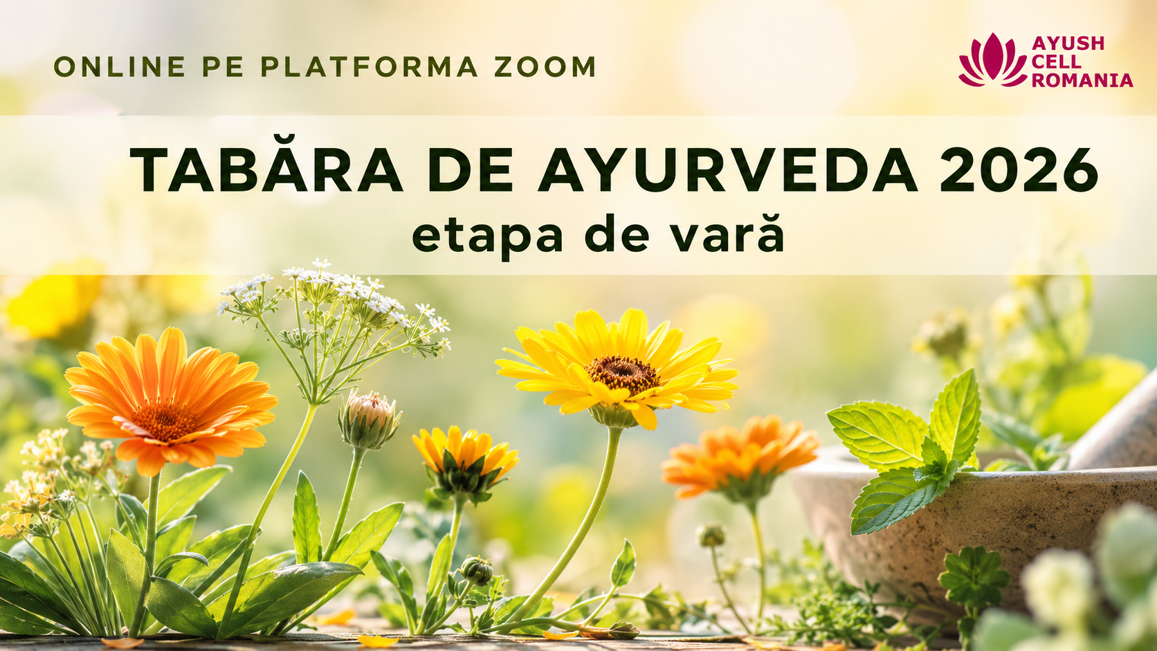 Tabăra de Ayurveda